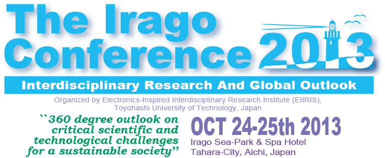 The Irago Conf 2013